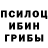 Псилоцибиновые грибы Magic Shrooms Fingerboard TV