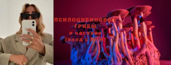 молекула духа Костерёво