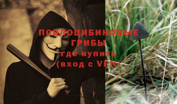ECSTASY Аркадак