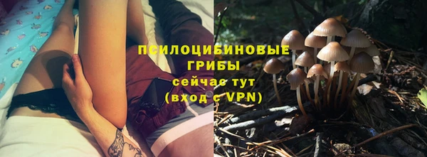 дурь Армянск