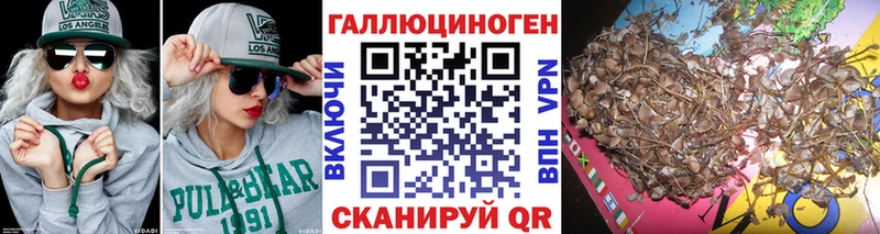 как найти закладки  Новосокольники  нарко площадка какой сайт  Псилоцибиновые грибы Cubensis 